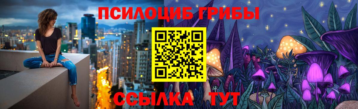 Шелехов  Галлюциногенные грибы Cubensis  Галлюциногенные грибы ЛСД  Вход с VPN 